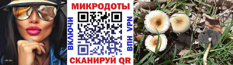 Галлюциногенные грибы мицелий наркотики Чегем